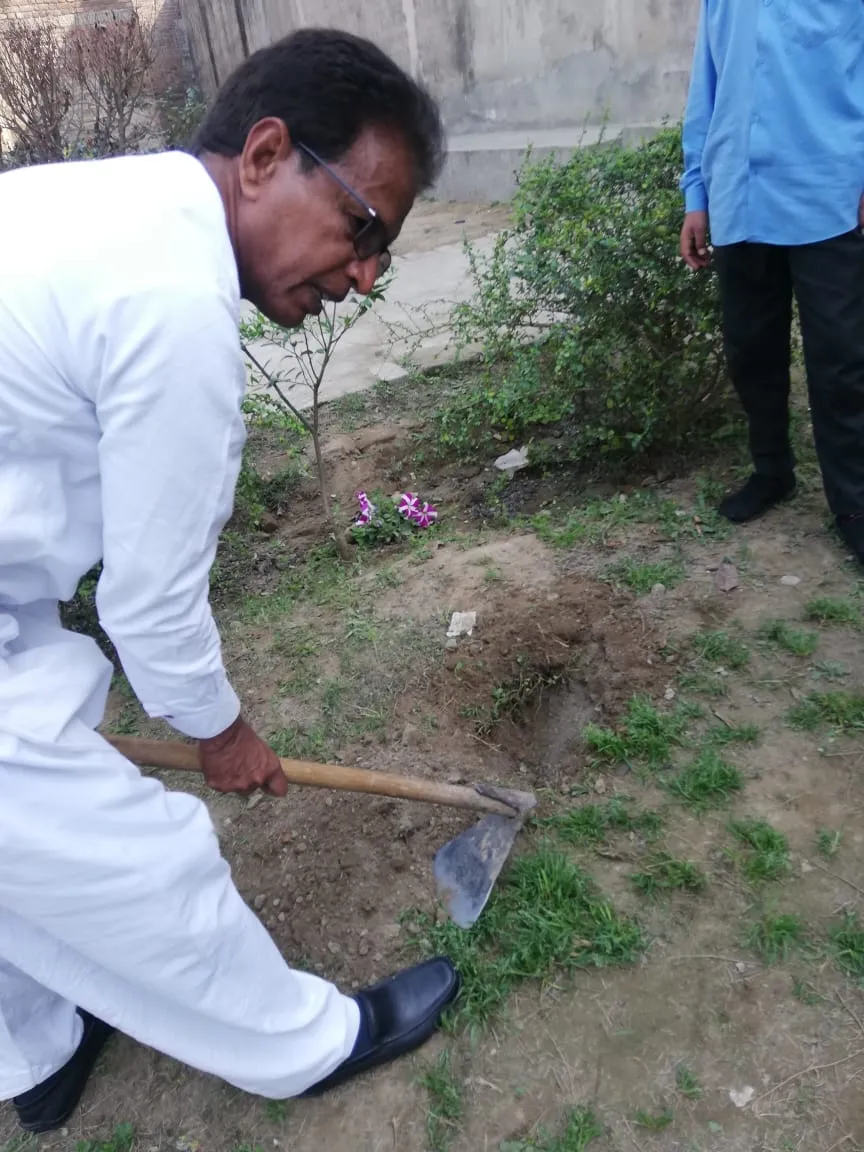 Green Seekers Activity